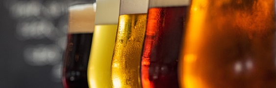 ThirtyFifty - Level 1 Beer Online Resources
