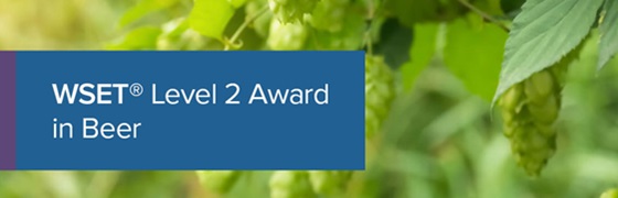 ThirtyFifty - WSET Level 2 Beer Courses